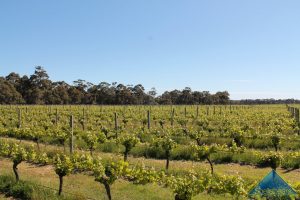 291 Calgardup Road gallery