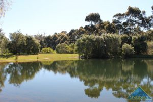 291 Calgardup Road gallery