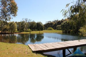 291 Calgardup Road gallery