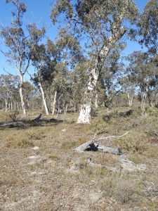 Lot 150 Brooklyn Road gallery