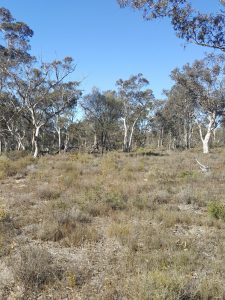 Lot 150 Brooklyn Road gallery