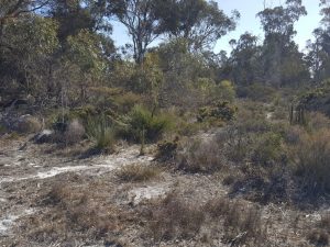 Lot 150 Brooklyn Road gallery