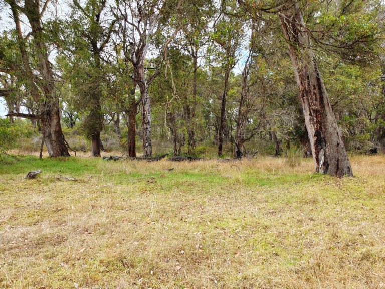 Lot 12 Harewood Road gallery