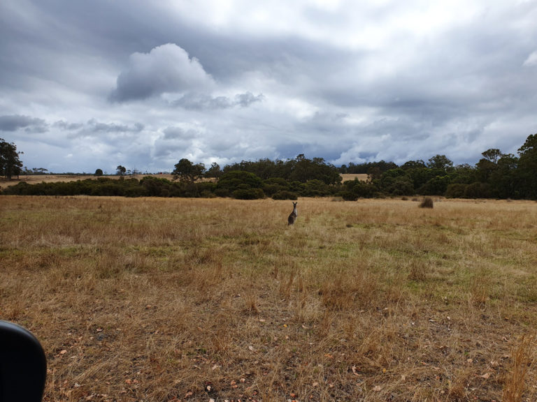 Lot 12 Harewood Road gallery