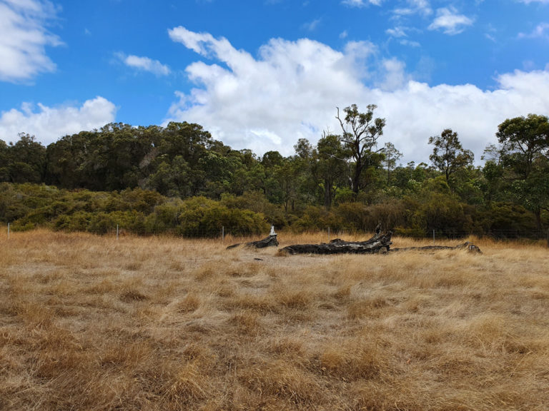 Lot 12 Harewood Road gallery