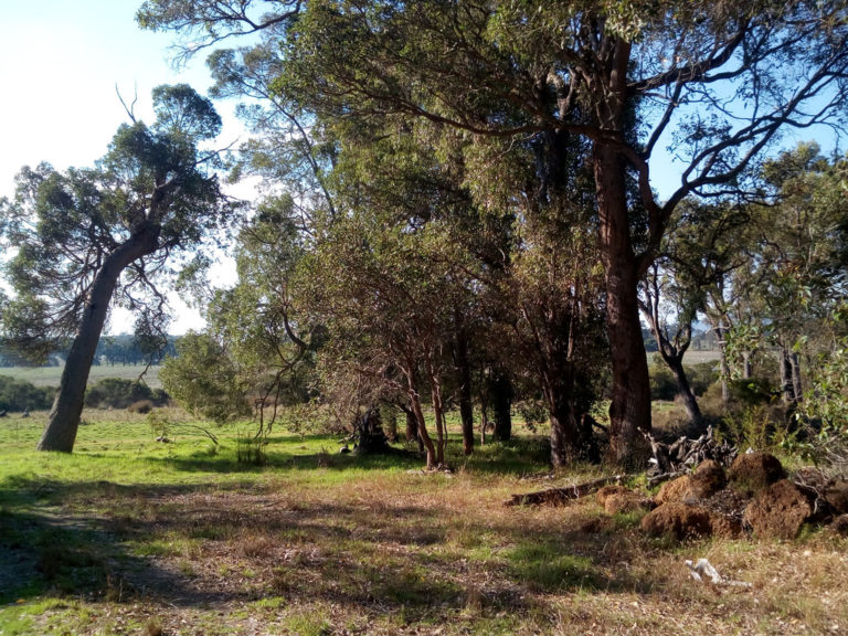 Lot 12 Harewood Road gallery