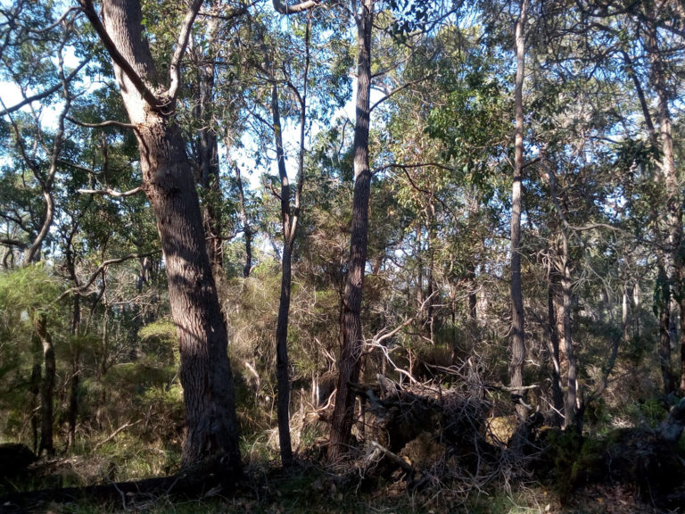 Lot 12 Harewood Road gallery