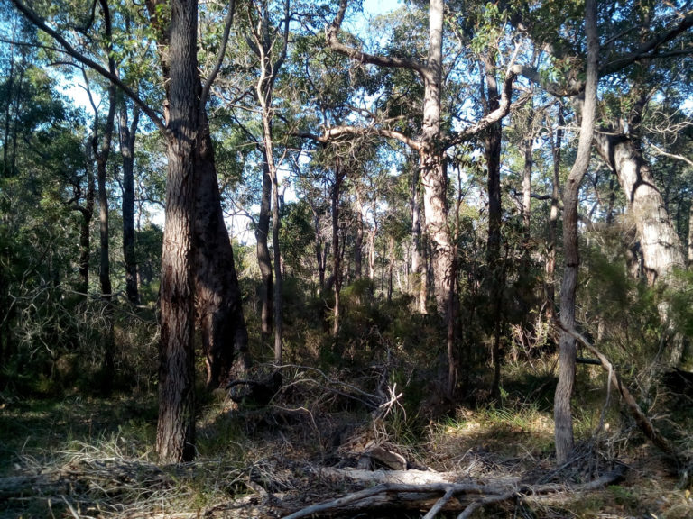 Lot 12 Harewood Road gallery