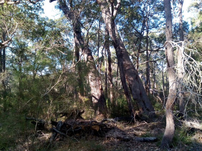 Lot 12 Harewood Road gallery