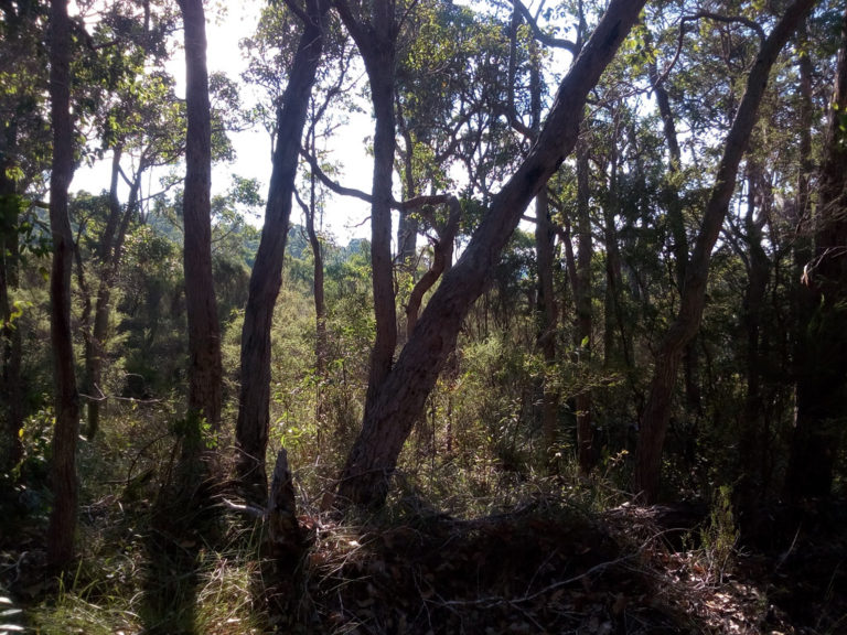 Lot 12 Harewood Road gallery