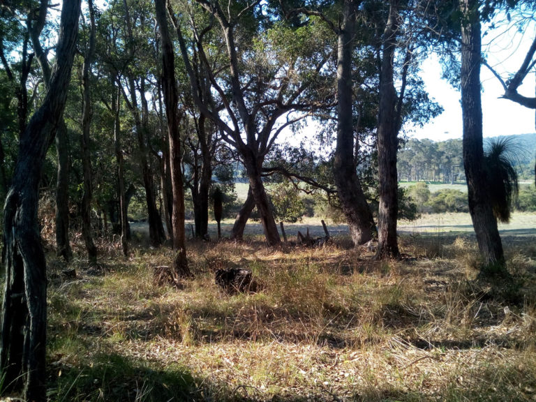 Lot 12 Harewood Road gallery