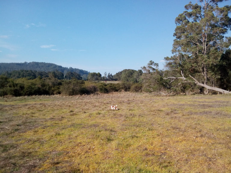 Lot 12 Harewood Road gallery