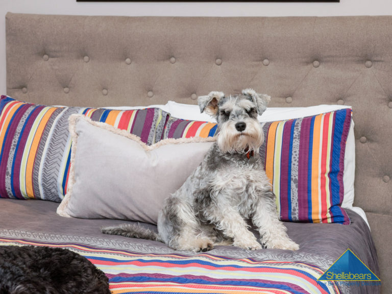 ‘Feels Like Home’ gallery