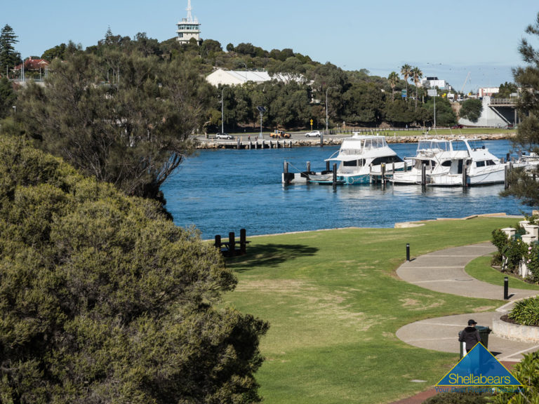 31B Bruce Street gallery