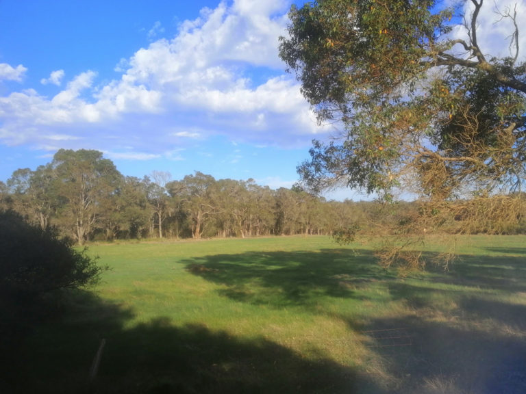 Lot 12 Harewood Road gallery