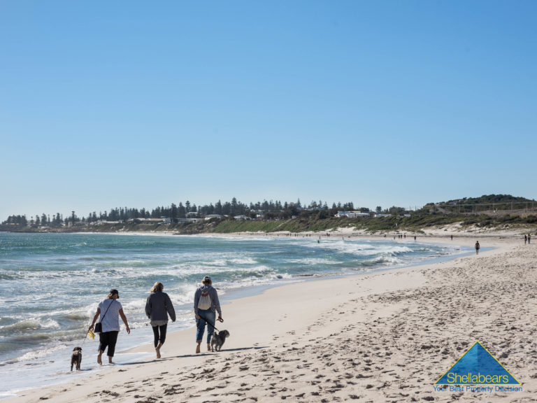 14/23 Glyde Street gallery