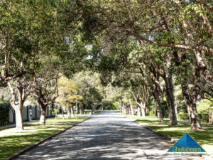 4 Agett Road gallery