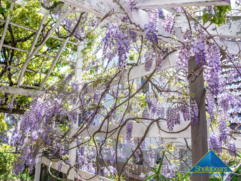 39 Marita Road gallery