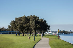 20 Doonan Road gallery