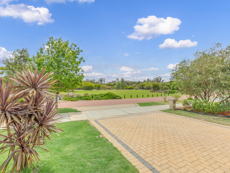 26 Sacred Glade gallery