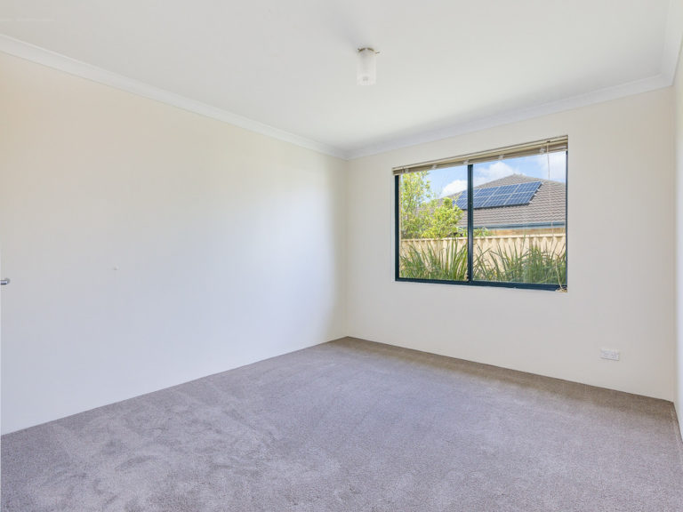 26 Sacred Glade gallery