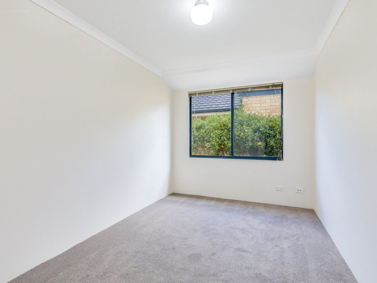 26 Sacred Glade gallery