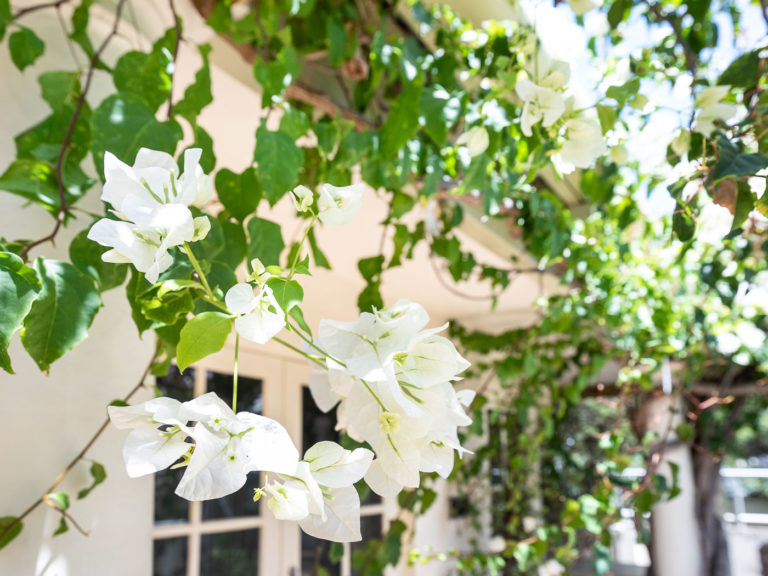 2 Irvine Street gallery