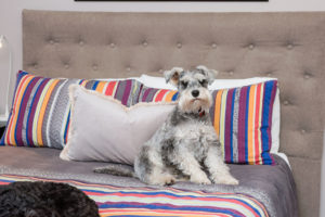 21 Brighton Street gallery