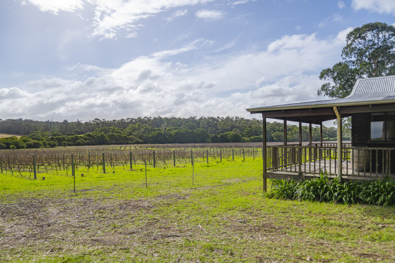 Winery, Cellar Door & Homestead gallery