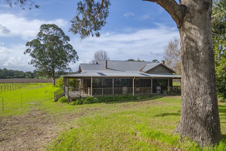 Winery, Cellar Door & Homestead gallery