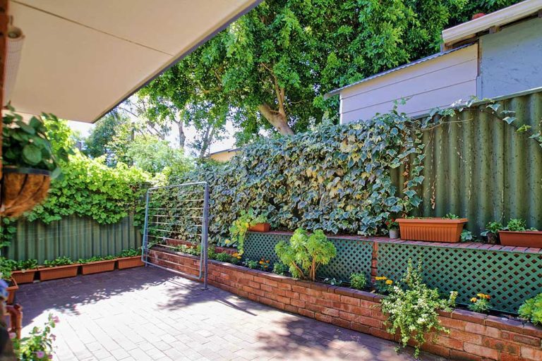 6/48 Dalkeith Road gallery