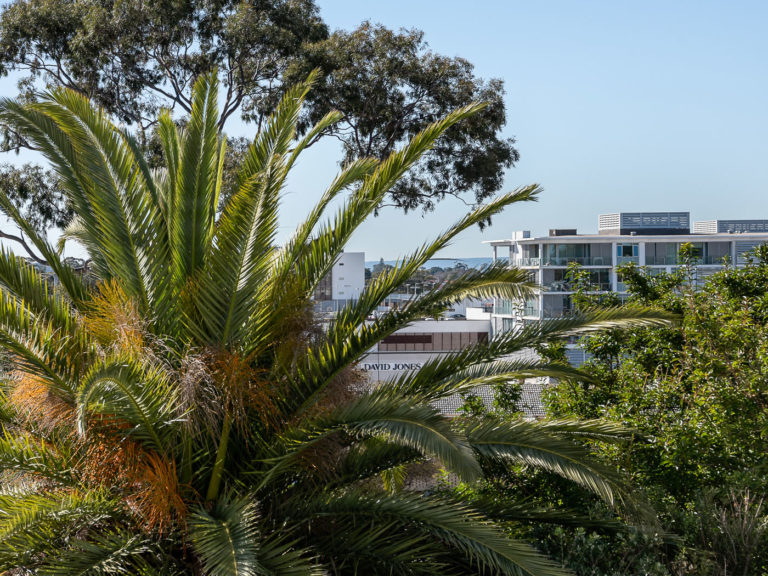 34/20 Dean Street gallery