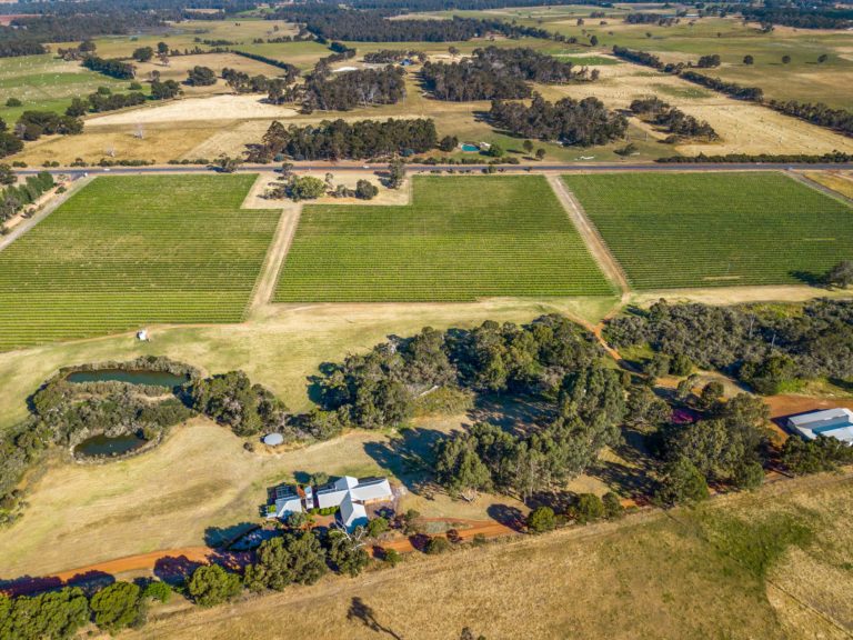 Architect Designed Home, Cellar Door/Studio, Winery & More! gallery