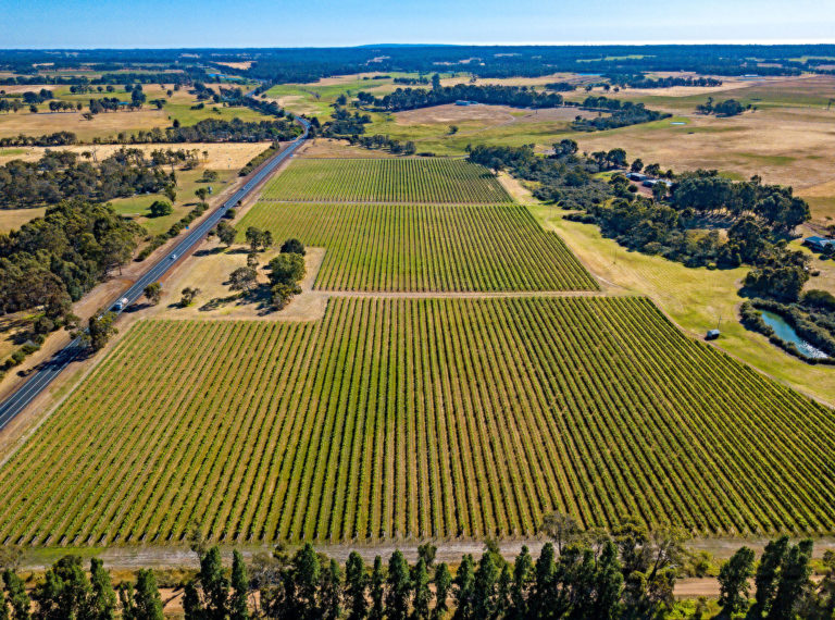 Architect Designed Home, Cellar Door/Studio, Winery & More! gallery