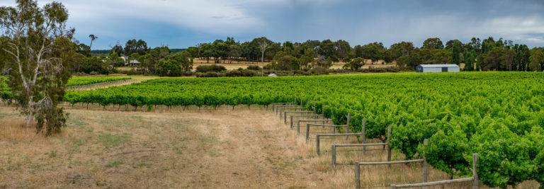 Architect Designed Home, Cellar Door/Studio, Winery & More! gallery