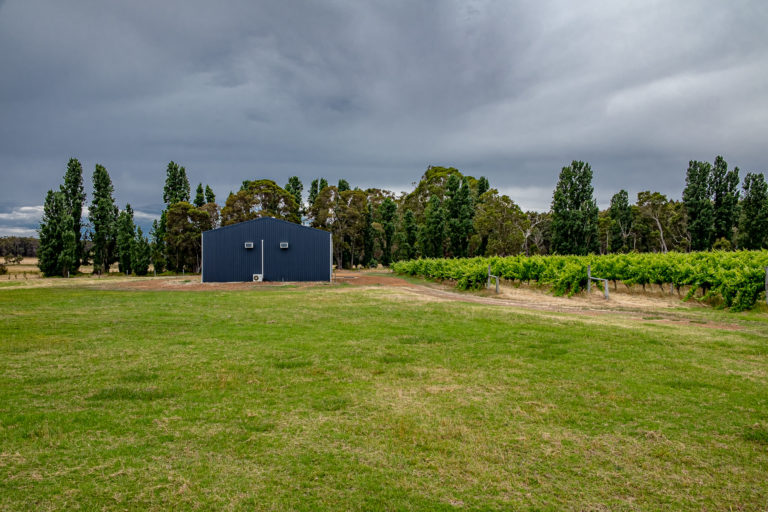 Architect Designed Home, Cellar Door/Studio, Winery & More! gallery