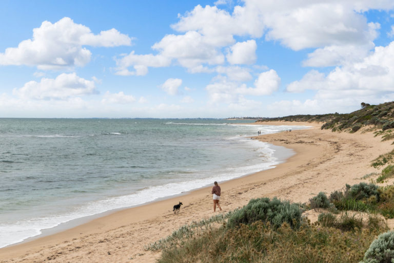 1 Scud Street gallery