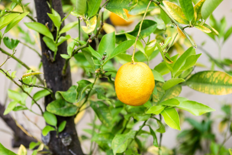 23A Grant Street gallery