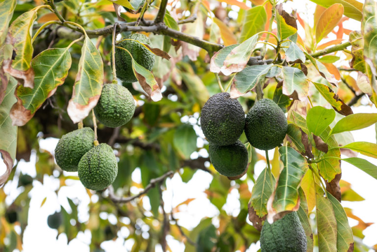 23A Grant Street gallery