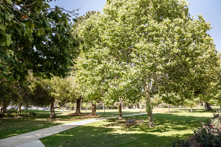 16 Queenslea Drive gallery