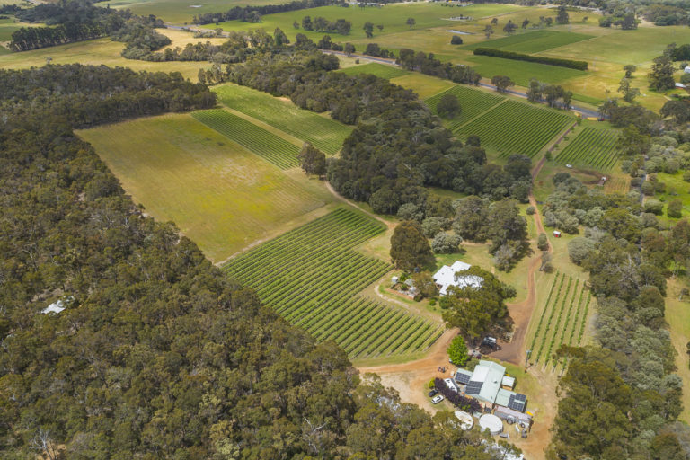 Beautifully Presented Vineyard – Cellar Door Sales – Chalets – Homestead gallery