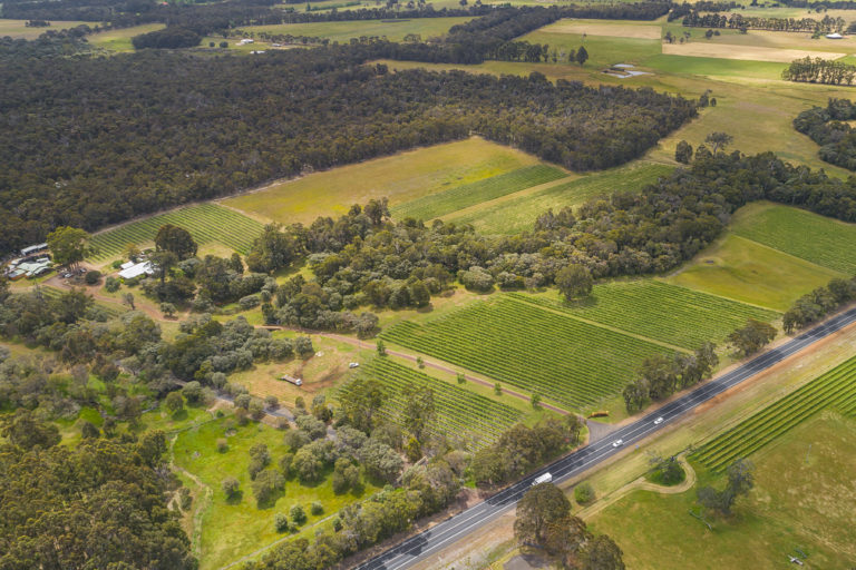Beautifully Presented Vineyard – Cellar Door Sales – Chalets – Homestead gallery