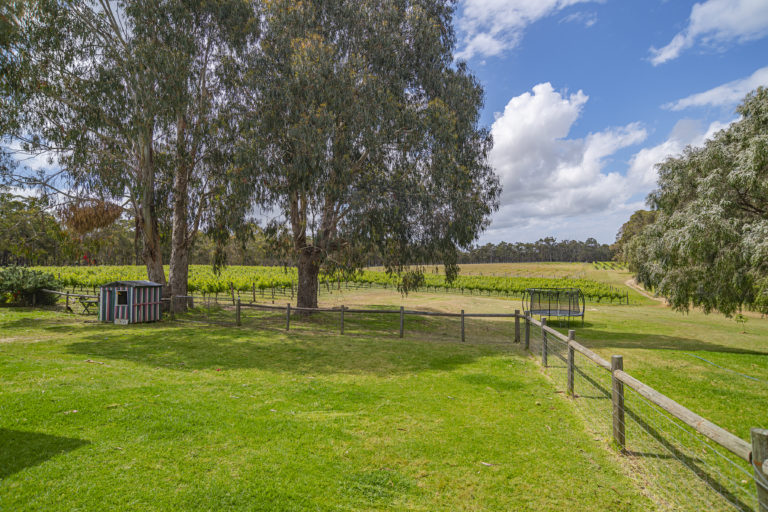 Beautifully Presented Vineyard – Cellar Door Sales – Chalets – Homestead gallery