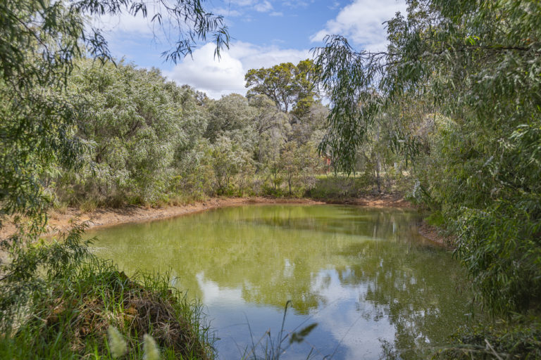 Beautifully Presented Vineyard – Cellar Door Sales – Chalets – Homestead gallery