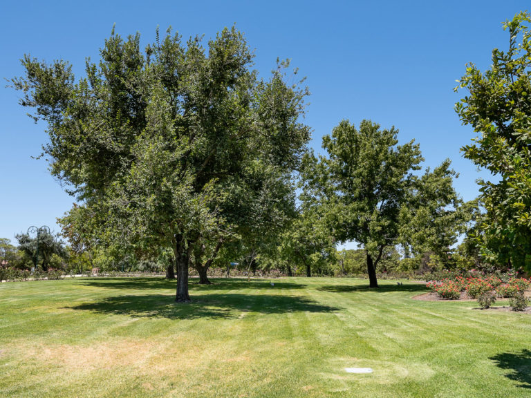 6/111 Stirling Highway gallery