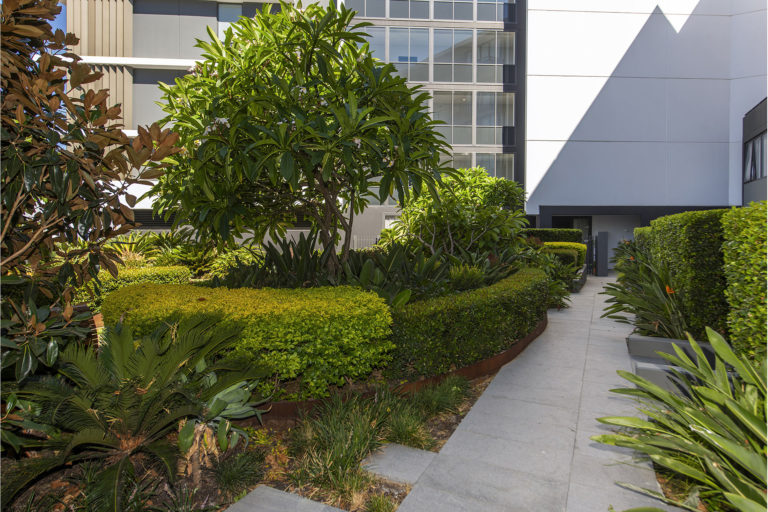 404/8 Graylands Road gallery