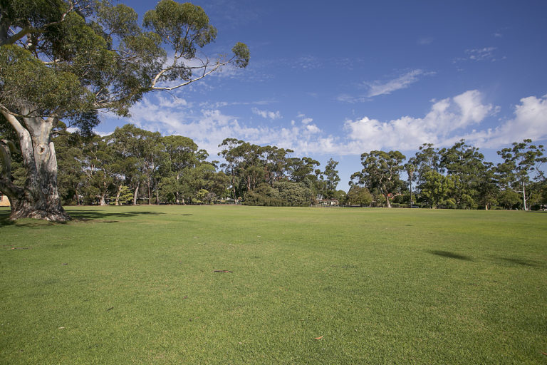 3/3 Doonan Road gallery