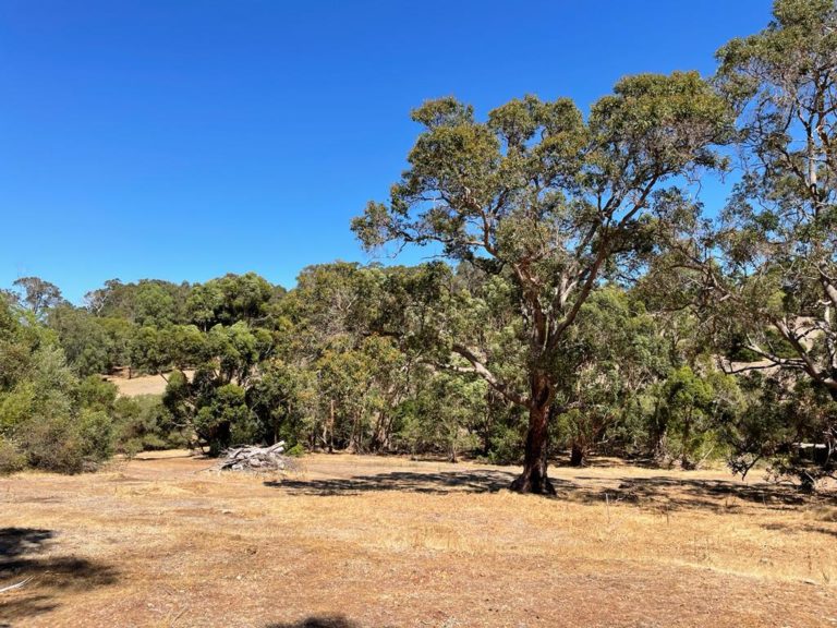 Lot 41 Nukklgup Loop gallery