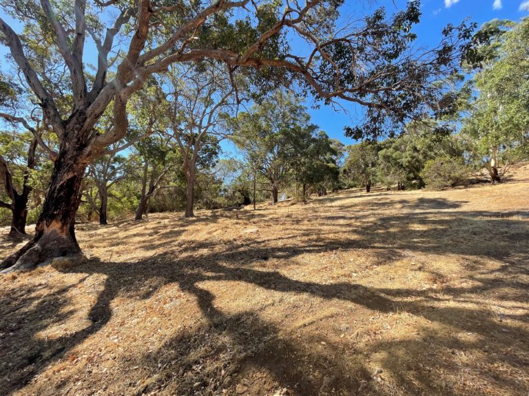 Lot 41 Nukklgup Loop gallery