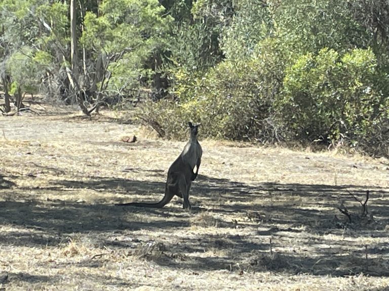 Lot 41 Nukklgup Loop gallery